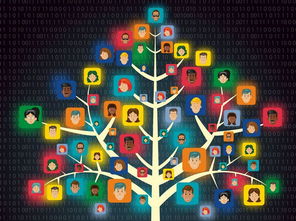 互联网思维重塑大文化产业 网络文化经营的新路径